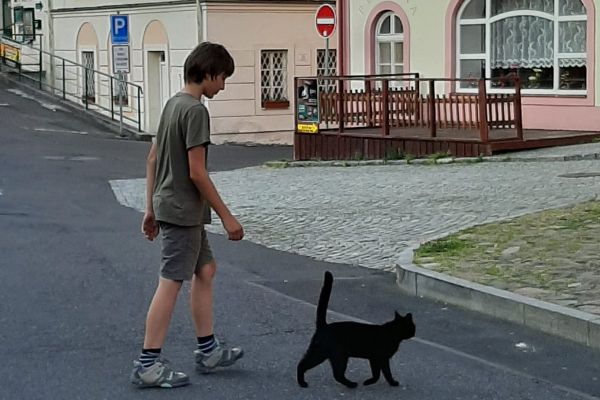 Víkend s Haimou Plzeň 2019