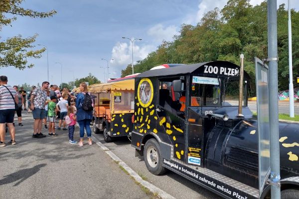 Hlasování spolku a výlet do ZOO Plzeň vláčkem