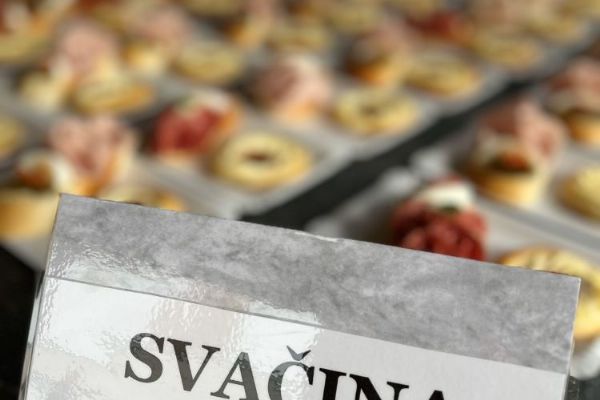 Hlasování spolku a výlet do ZOO Plzeň vláčkem